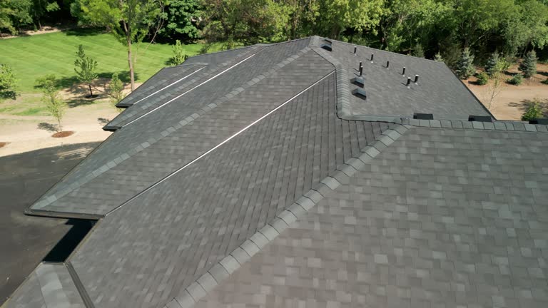 Best Sheet Metal Roofing  in Clearwater, FL