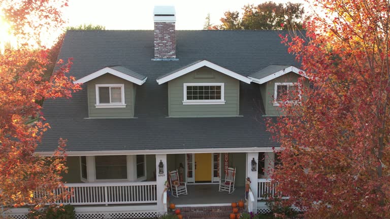 Best Green or Eco-Friendly Roofing Solutions  in Clearwater, FL