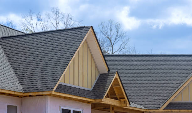 Best Roof Insulation Installation  in Clearwater, FL