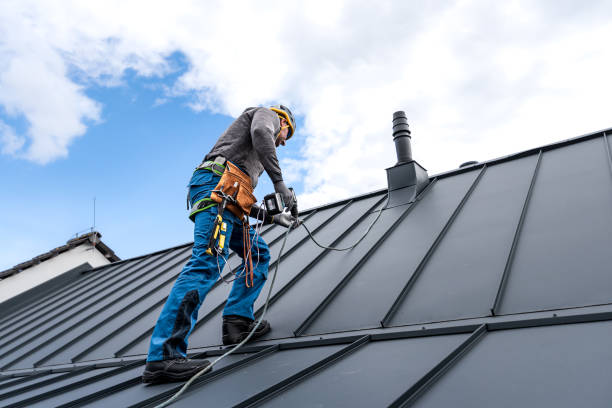 Steel Roofing in Clearwater, FL