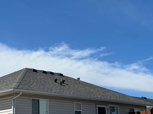 Best Gutter Replacement  in Clearwater, FL